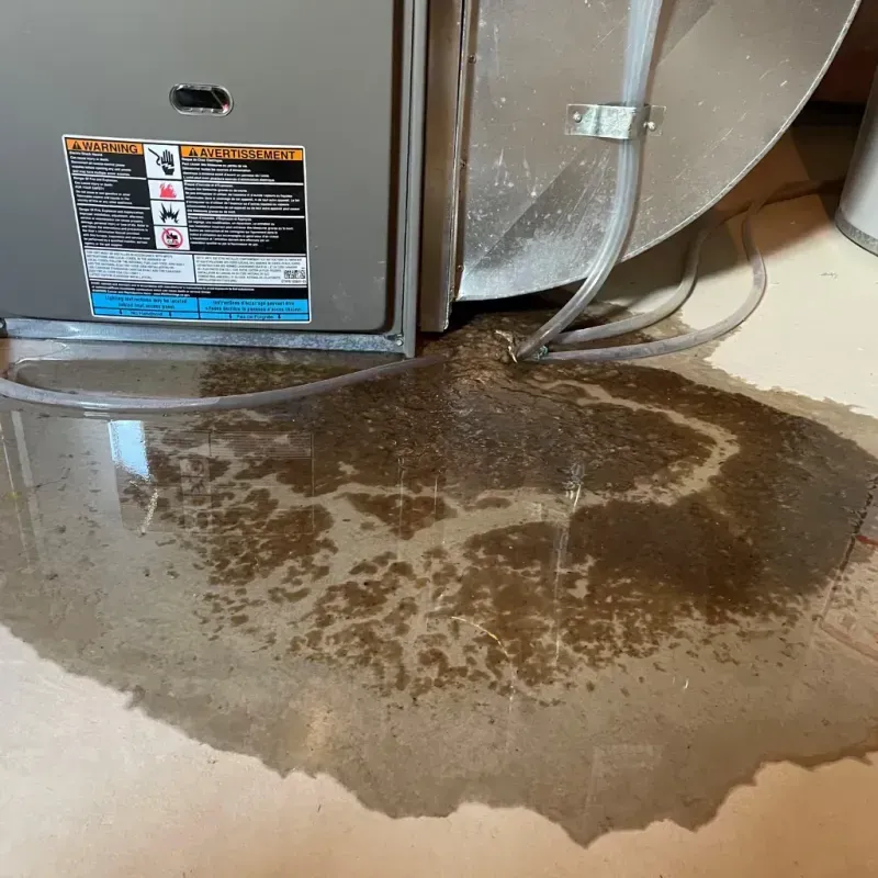 Appliance Leak Cleanup in West Elmira, NY